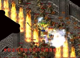 ��ְҵ����ƺ���ο��ٻ�ȡ��