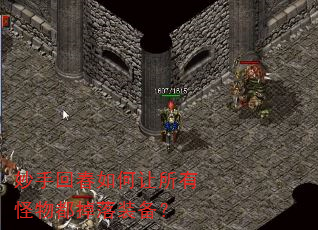���ֻش���������й��ﶼ����װ����