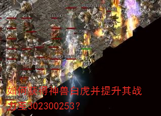 如何获得神兽白虎并提升其战力至302300253? 如何获得神兽白虎并提升其战力至302300253?
