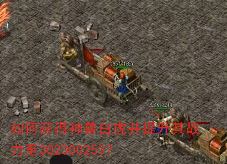 如何获得神兽白虎并提升其战力至302300253? 如何获得神兽白虎并提升其战力至302300253?