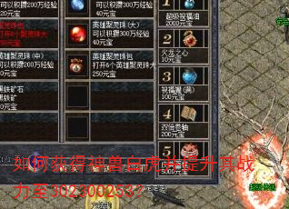 如何获得神兽白虎并提升其战力至302300253? 如何获得神兽白虎并提升其战力至302300253?