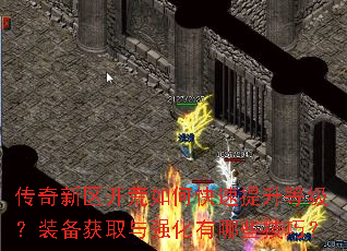 ��������������ο��������ȼ���װ����ȡ��ǿ������Щ���ɣ�