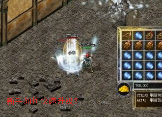 ������ο���������