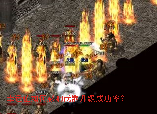 ����ֵ���Ӱ�����������ɹ��ʣ�