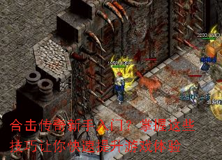 �ϻ������������ţ�������Щ�����������������Ϸ����