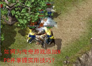 ���Ϊ������Ϸ����NPC������ʵ�ü��ɣ�