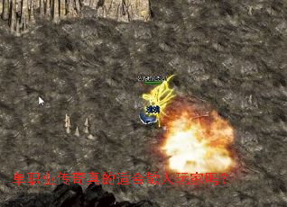 ��ְҵ��������ʺ�ɢ�������