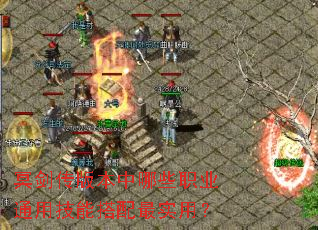 ڤ�����汾����Щְҵͨ�ü��ܴ�����ʵ�ã�