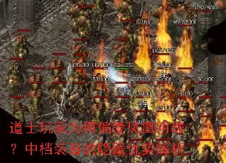 ��ʿ���Ϊ��ƫ��������飿�е�װ�����������ƽ���