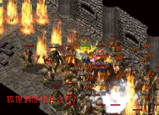 ���궴������ô��