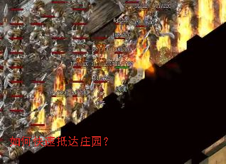 ��ο��ٵִ�ׯ԰��