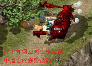 սʿ���Ӧ�Դ���˽���е�ʿ��ǿ�Ƽ��ܣ�