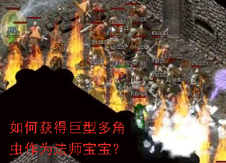 ��λ�þ��Ͷ�ǳ���Ϊ��ʦ������