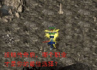 �Ӵ�������ĸ�ְҵ����������ѡ��