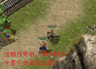 �Ӵ�������ĸ�ְҵ����������ѡ��