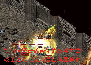 ���ѡ�����ʺ����ս����ʽ��սʿ��ս�뷨ʦԶ����Ƚ���