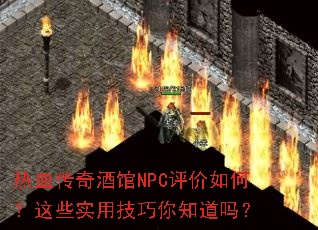 ��Ѫ����ƹ�NPC������Σ���Щʵ�ü�����֪����