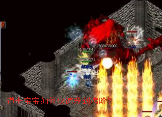 ��ʿ������ο����������ף�