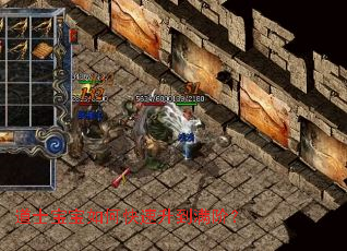 ��ʿ������ο����������ף�