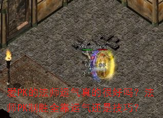 ��PK�ķ�ʦ������ĺܺ��𣿷�ʦPK��ʤȫ���������Ǽ��ɣ�