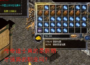 �����ʿ����Ǻ��ڲ�ǿ�Ƶ�ְҵ��