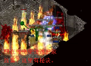 ���ڴ�������ٷ����¸����������ؾ���