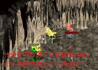 �������»����ֻ�����ǿ���ԣ�������ο������ֲ�����ã��