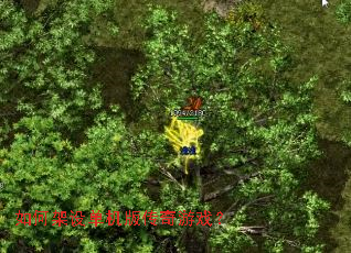 ��μ��赥���洫����Ϸ��