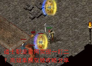 ��ʿְҵ���ʵ��һ�������Ч����˫�й��Է���