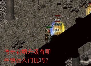 ���������������Щ�������ż��ɣ�