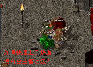 ��ο���������Ѫ����������淨��