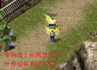 ������ʿ��ο��������ȼ�����Ч�򱦣�