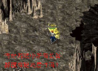 ������Ϸ������װ������������������