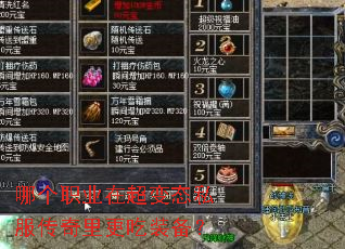 �ĸ�ְҵ�ڳ���̬˽�����������װ����