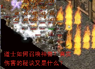 ��ʿ����ٻ����ޣ���ʵ�˺����ؾ�����ʲô��