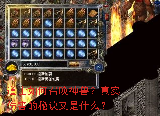 ��ʿ����ٻ����ޣ���ʵ�˺����ؾ�����ʲô��