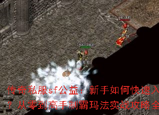 ����˽��sf���棺������ο������ţ����㵽�����ư��귨ʵս����ȫ����