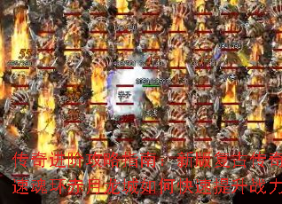 ������׹���ָ�ϣ��°渴�Ŵ��湥�ٻ껷����������ο�������ս����