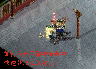 ���������������п��ٻ�ȡ�����ƺţ�