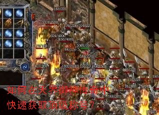 ���������������п��ٻ�ȡ�����ƺţ�