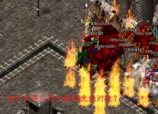 ��ο���ʵ��ȫ�������Ծ���