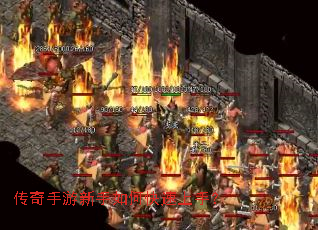 ��������������ο������֣�