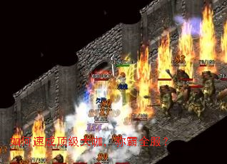 ����ٳɶ����󿧣��ư�ȫ����