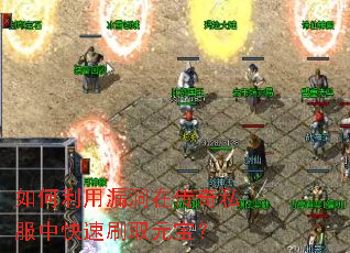 �������©���ڴ���˽���п���ˢȡԪ����