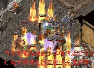 ����˽���������ο��ٽ��ף������������������Щ�ؼ����裿