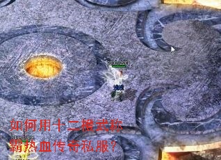 �����ʮ������ư���Ѫ����˽����