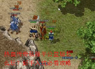 ��Ѫ����˽���빫�����ô�棿������ӱؿ�����