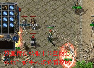 ��Ѫ����˽���빫�����ô�棿������ӱؿ�����