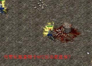 ����˽�����ĸ�NPC˵����ֱ�ӣ�