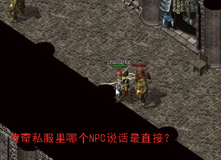 ����˽�����ĸ�NPC˵����ֱ�ӣ�